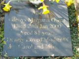 image of grave number 647996